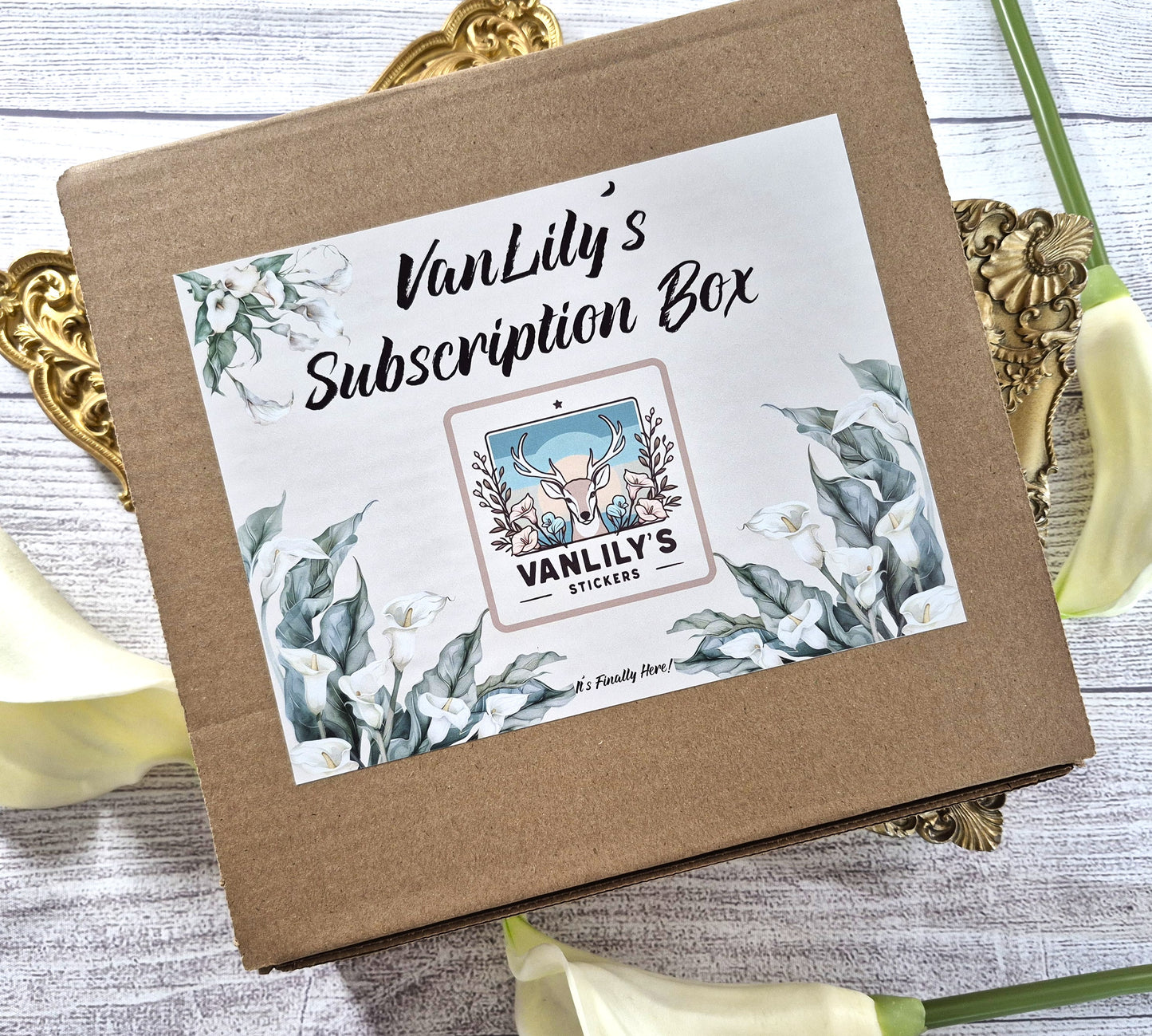VanLily's Monthly Subscription Box (TBM Live Rich Planner)