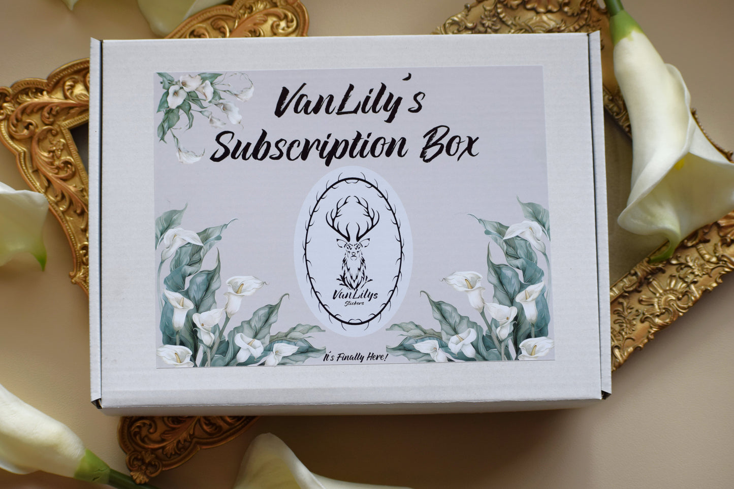 VanLily's Monthly Subscription Box- Budget