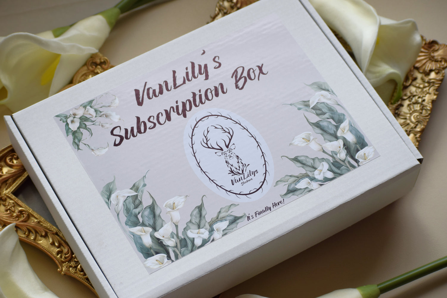 VanLily's Monthly Subscription Box