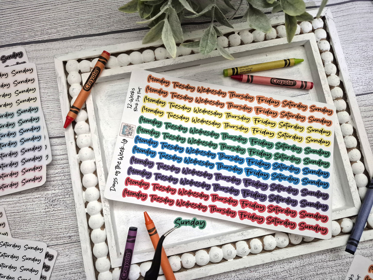 Days of the Week Script Planner Stickers, Weekday Script Planner Stickers