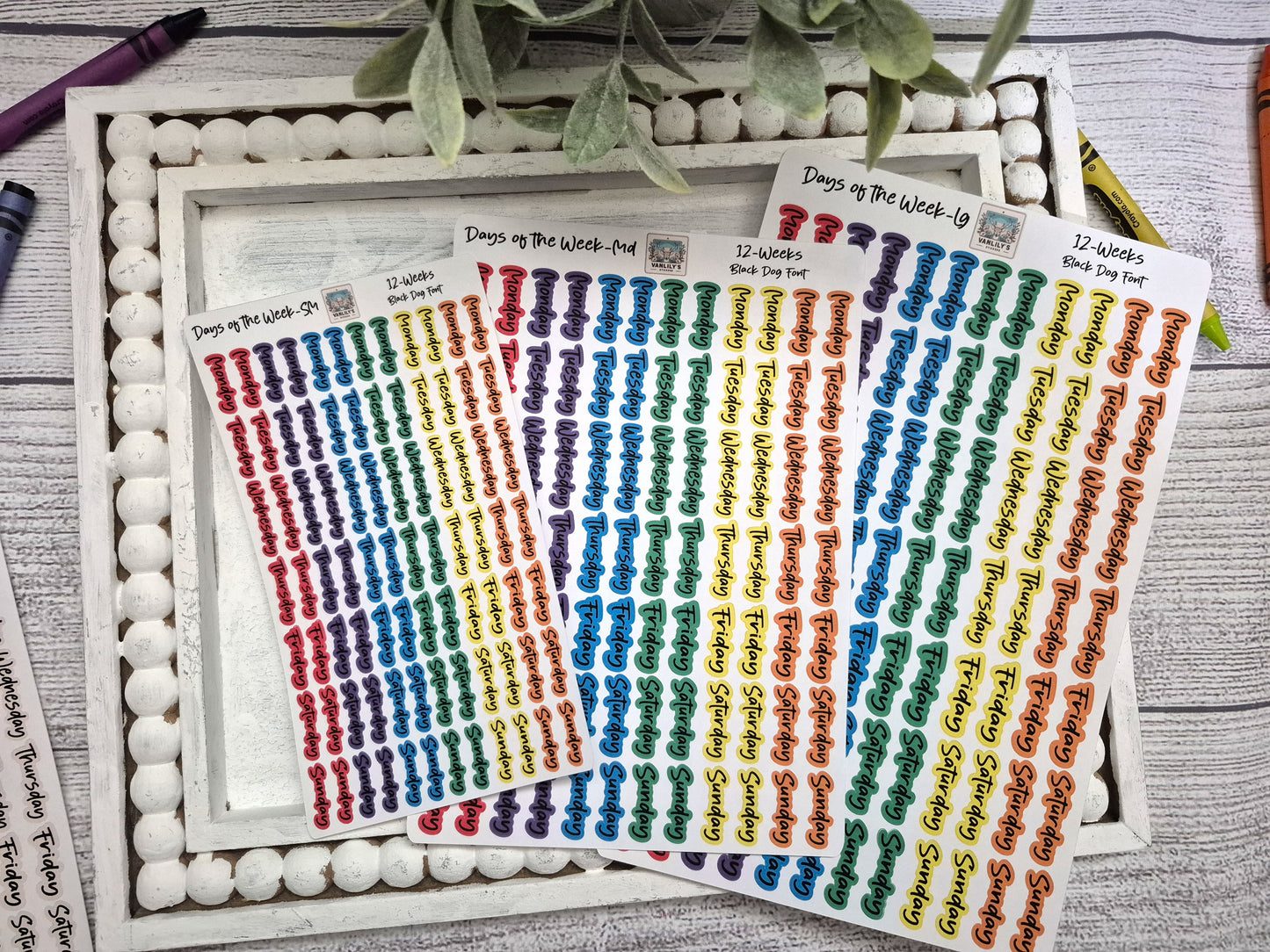 Days of the Week Script Planner Stickers, Weekday Script Planner Stickers