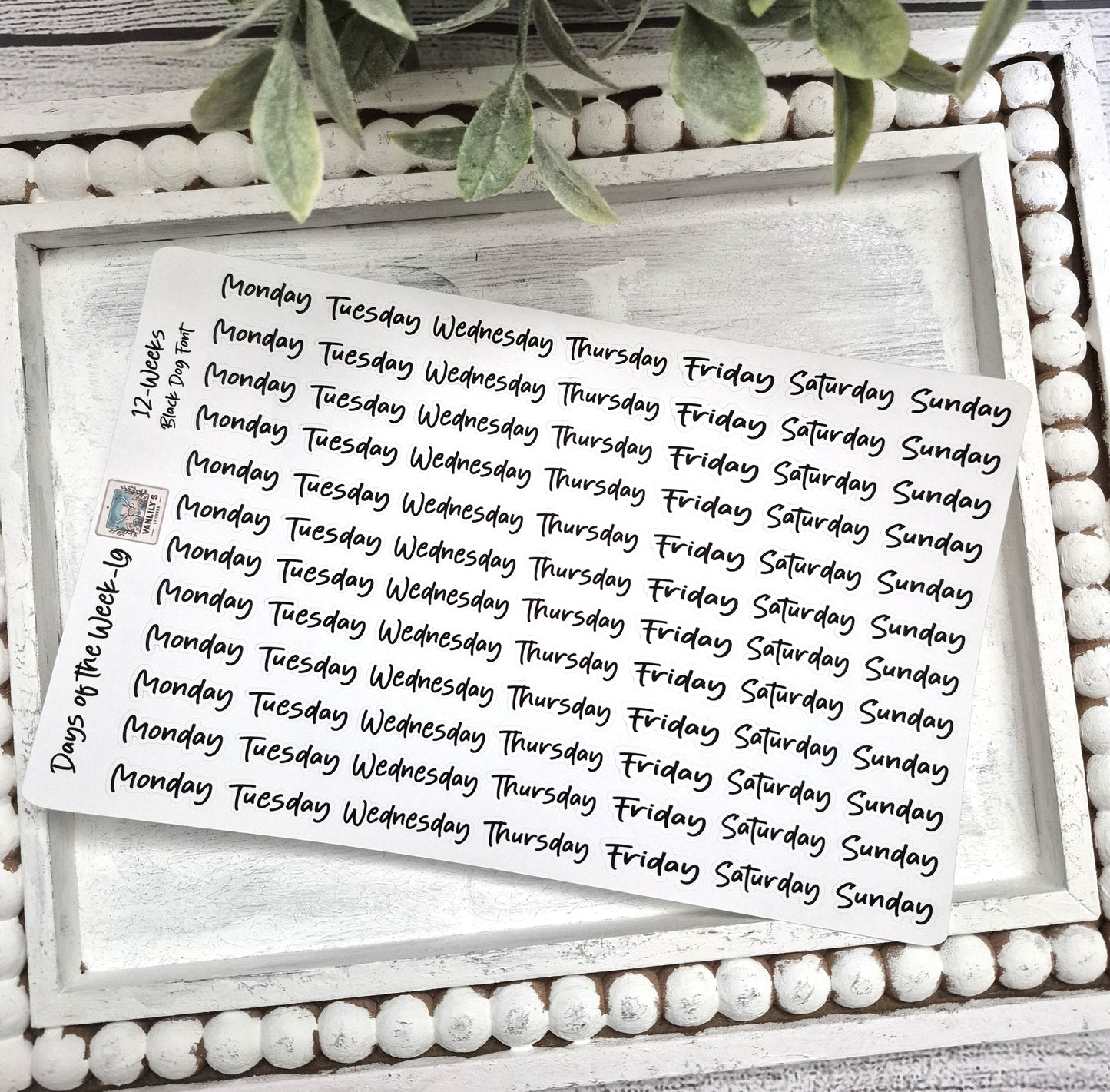Days of the Week Script Planner Stickers, Weekday Script Planner Stickers
