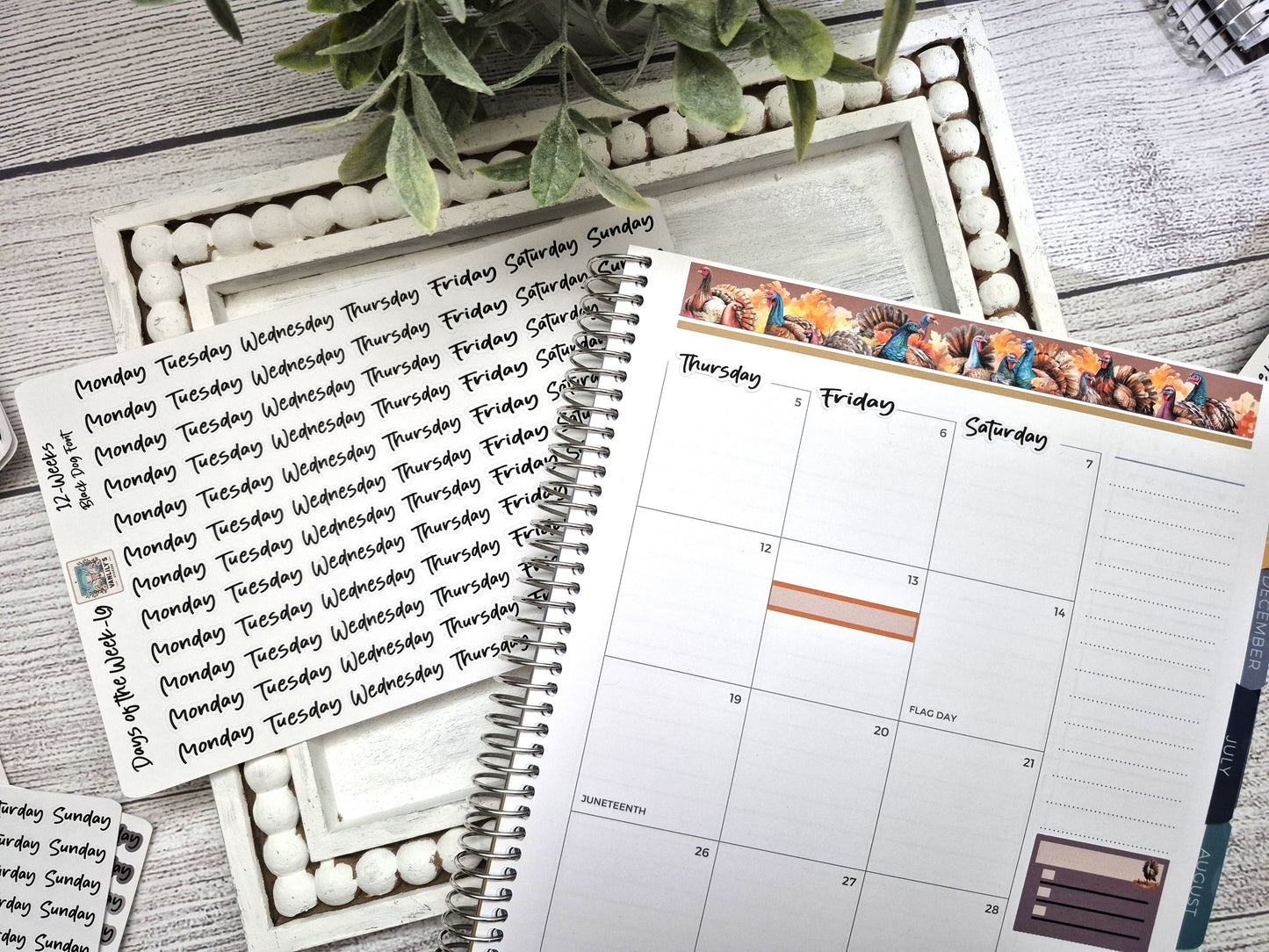 Days of the Week Script Planner Stickers, Weekday Script Planner Stickers