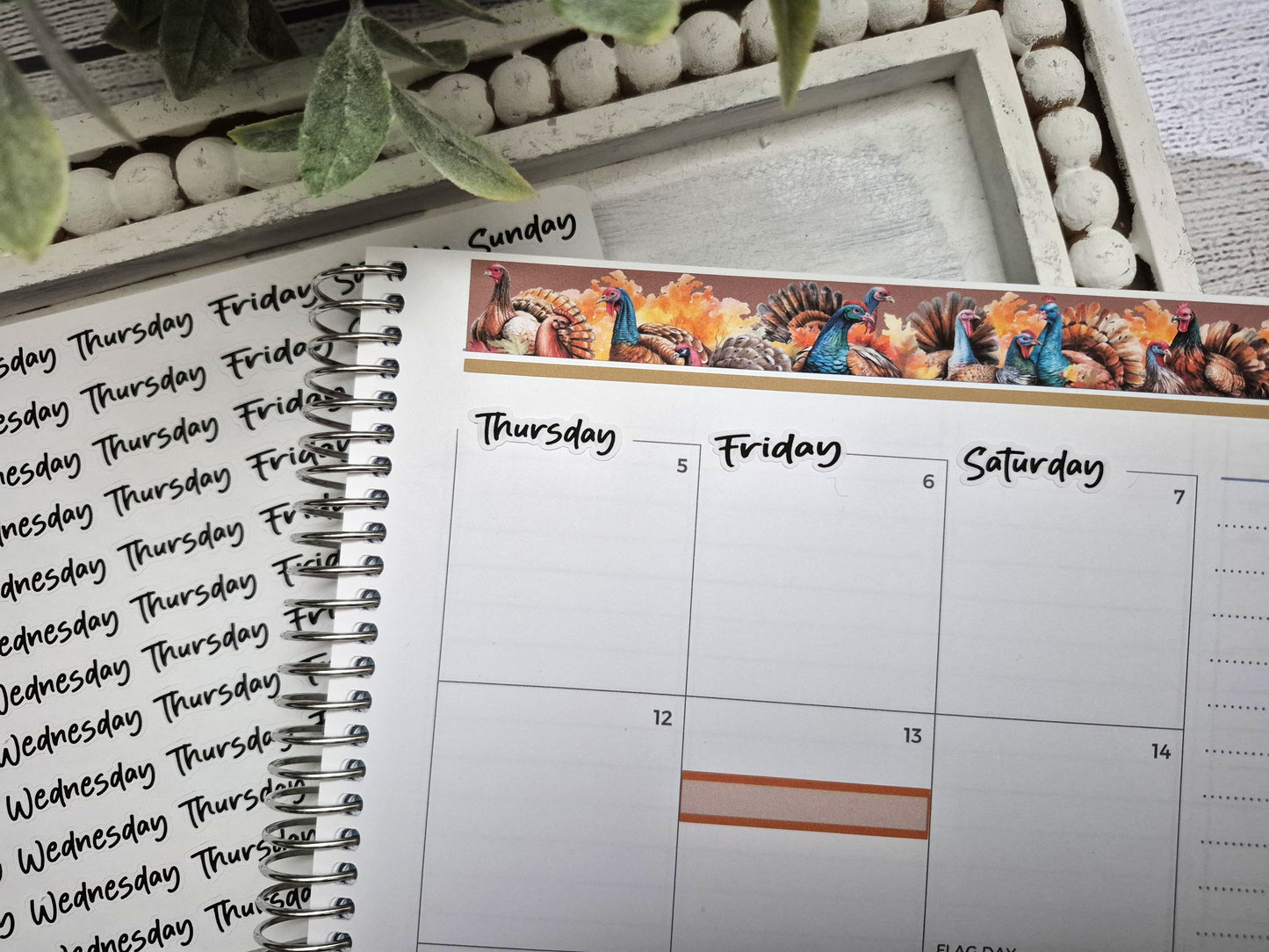 Days of the Week Script Planner Stickers, Weekday Script Planner Stickers