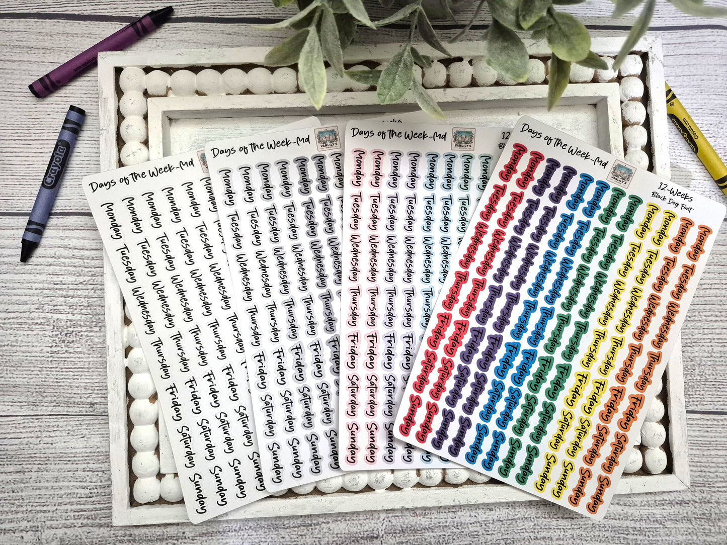 Days of the Week Script Planner Stickers, Weekday Script Planner Stickers