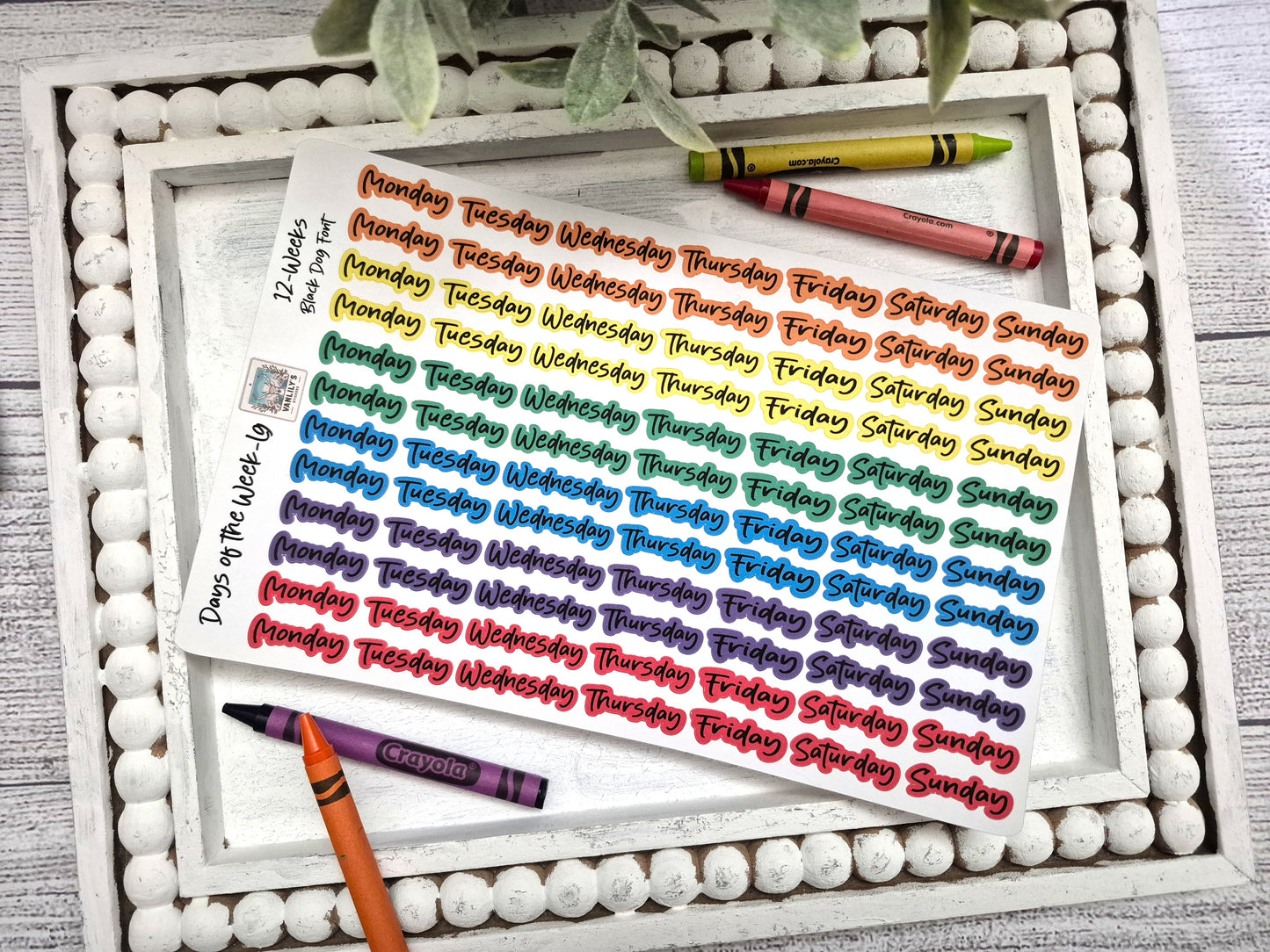 Days of the Week Script Planner Stickers, Weekday Script Planner Stickers