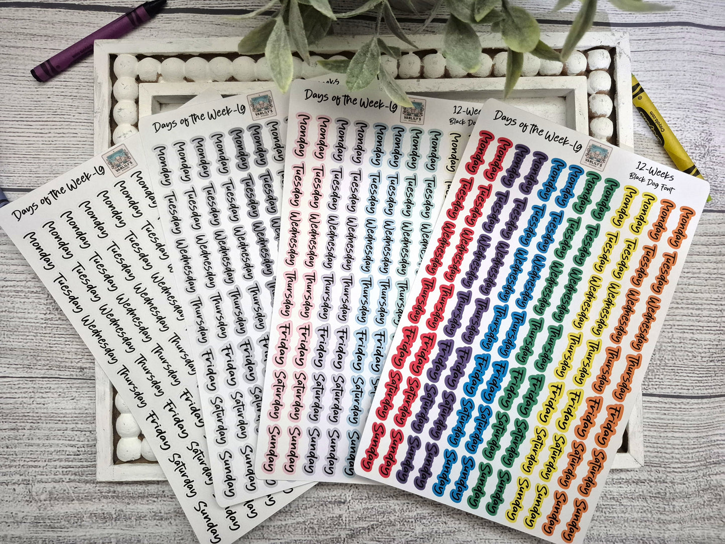 Days of the Week Script Planner Stickers, Weekday Script Planner Stickers