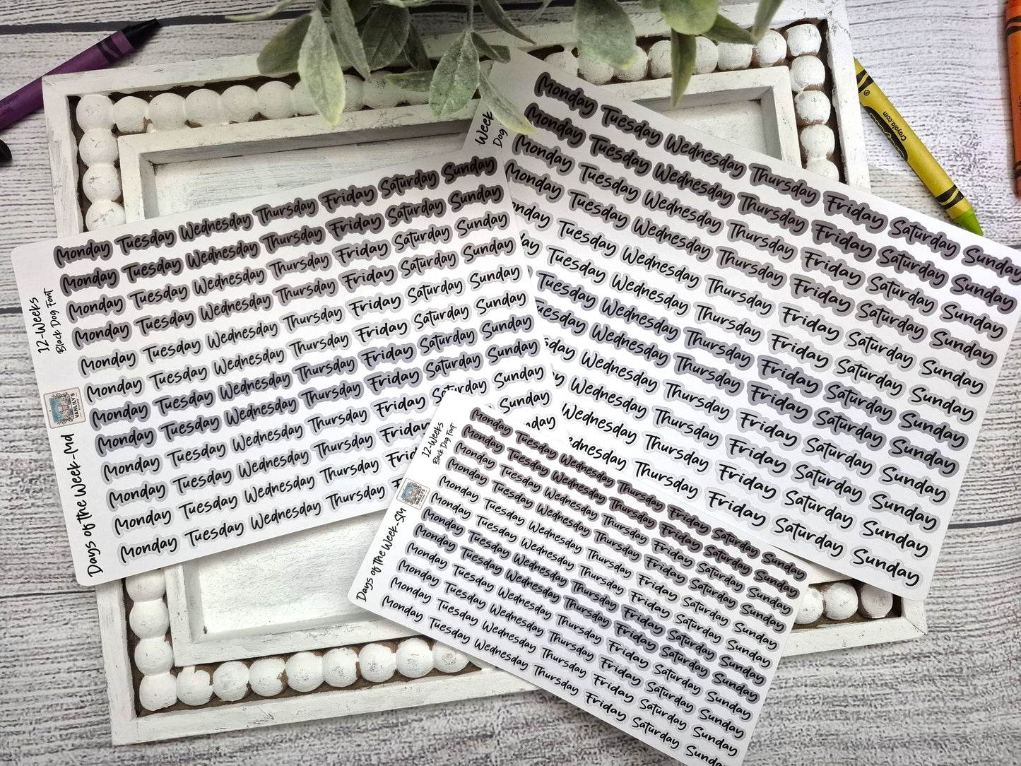 Days of the Week Script Planner Stickers, Weekday Script Planner Stickers