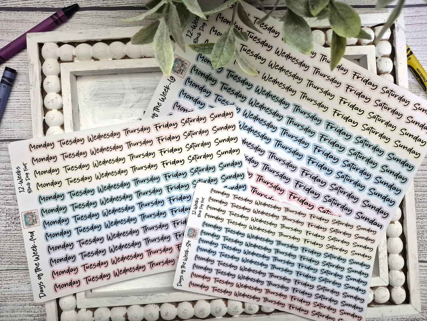 Days of the Week Script Planner Stickers, Weekday Script Planner Stickers