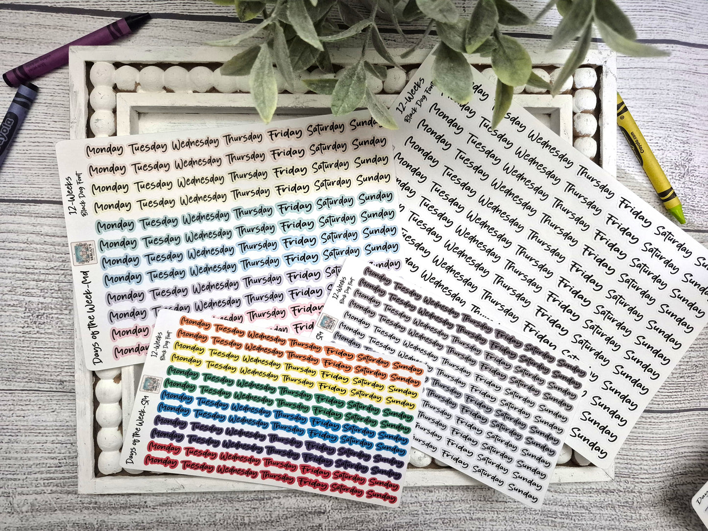 Days of the Week Script Planner Stickers, Weekday Script Planner Stickers