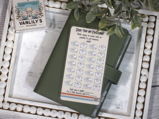 Debt Pay Off Savings Challenge | A6 Laminated Savings Tracker | Budget Binder Insert for Sinking Funds & Debt Goals