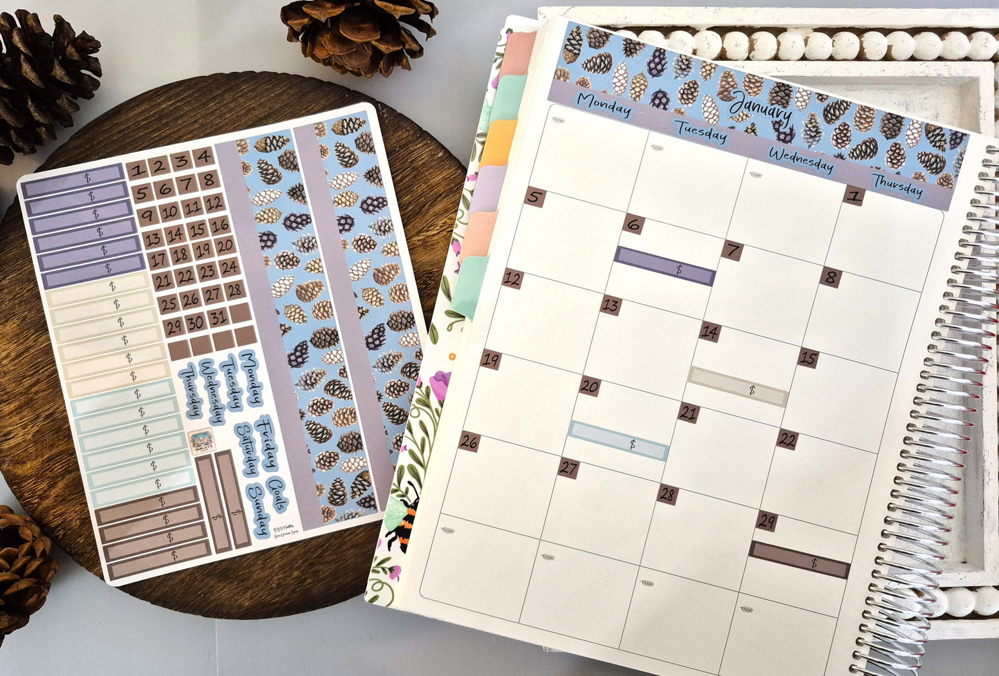 TBM BBP Workbook Sticker Kit, Winter of Pinecones