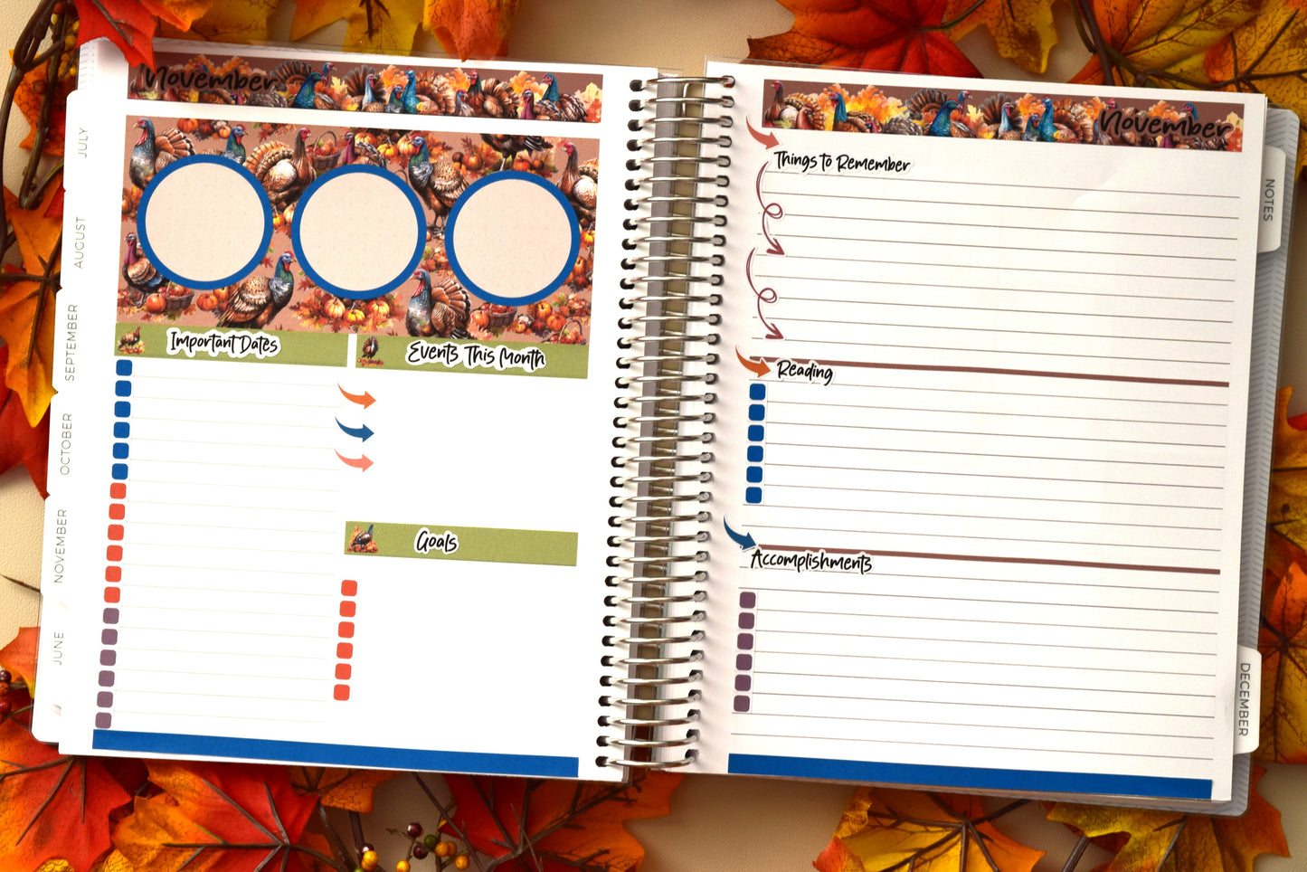 Plum Paper 12 Month Bundle, Dashboard Sheet Planner Stickers