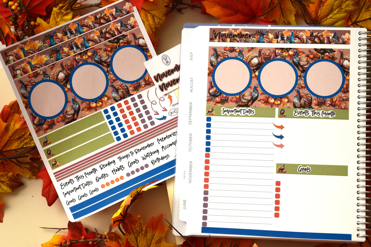 Plum Paper 12 Month Bundle, Dashboard Sheet Planner Stickers