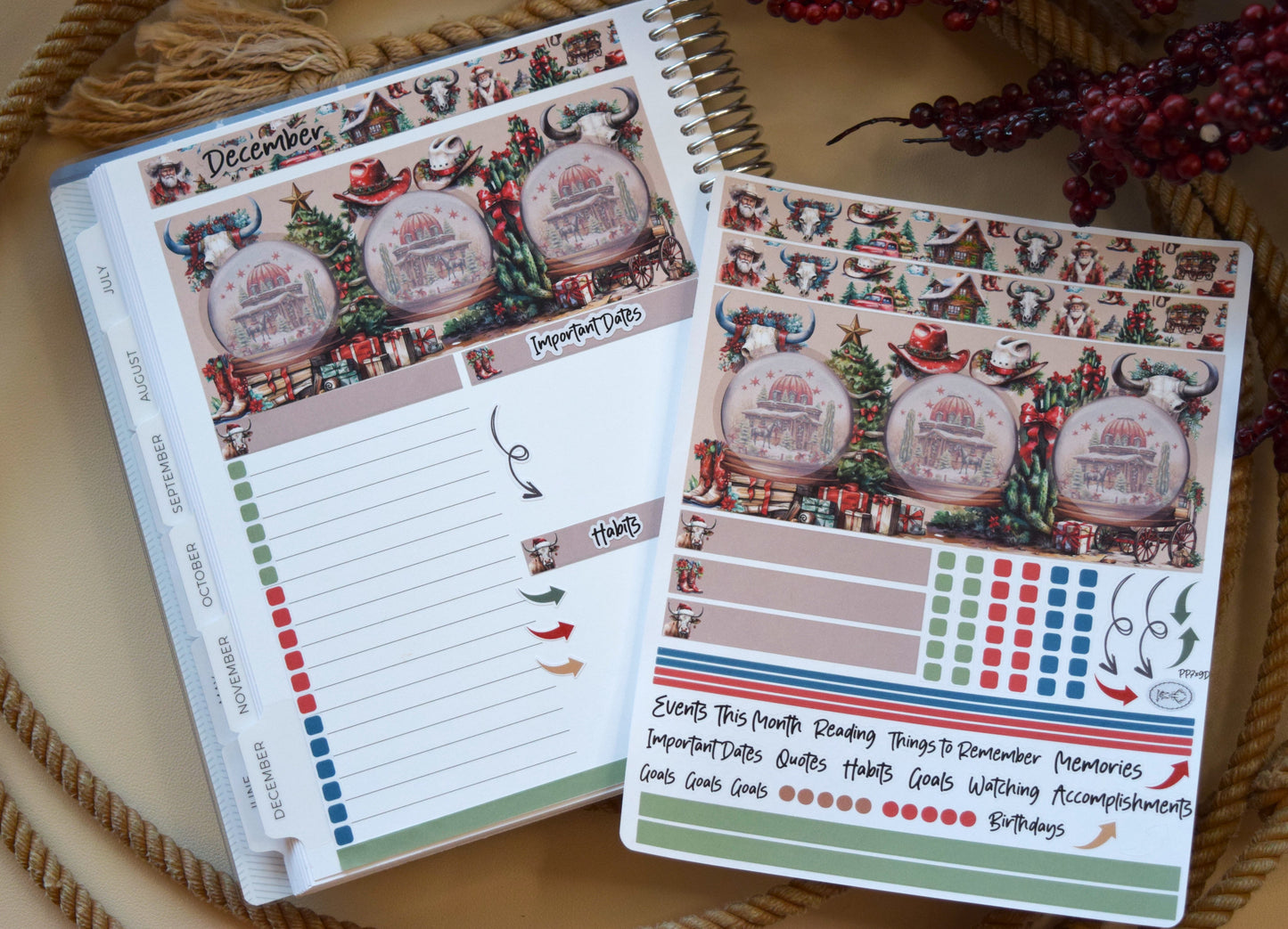 Plum Paper 12 Month Bundle, Dashboard Sheet Planner Stickers