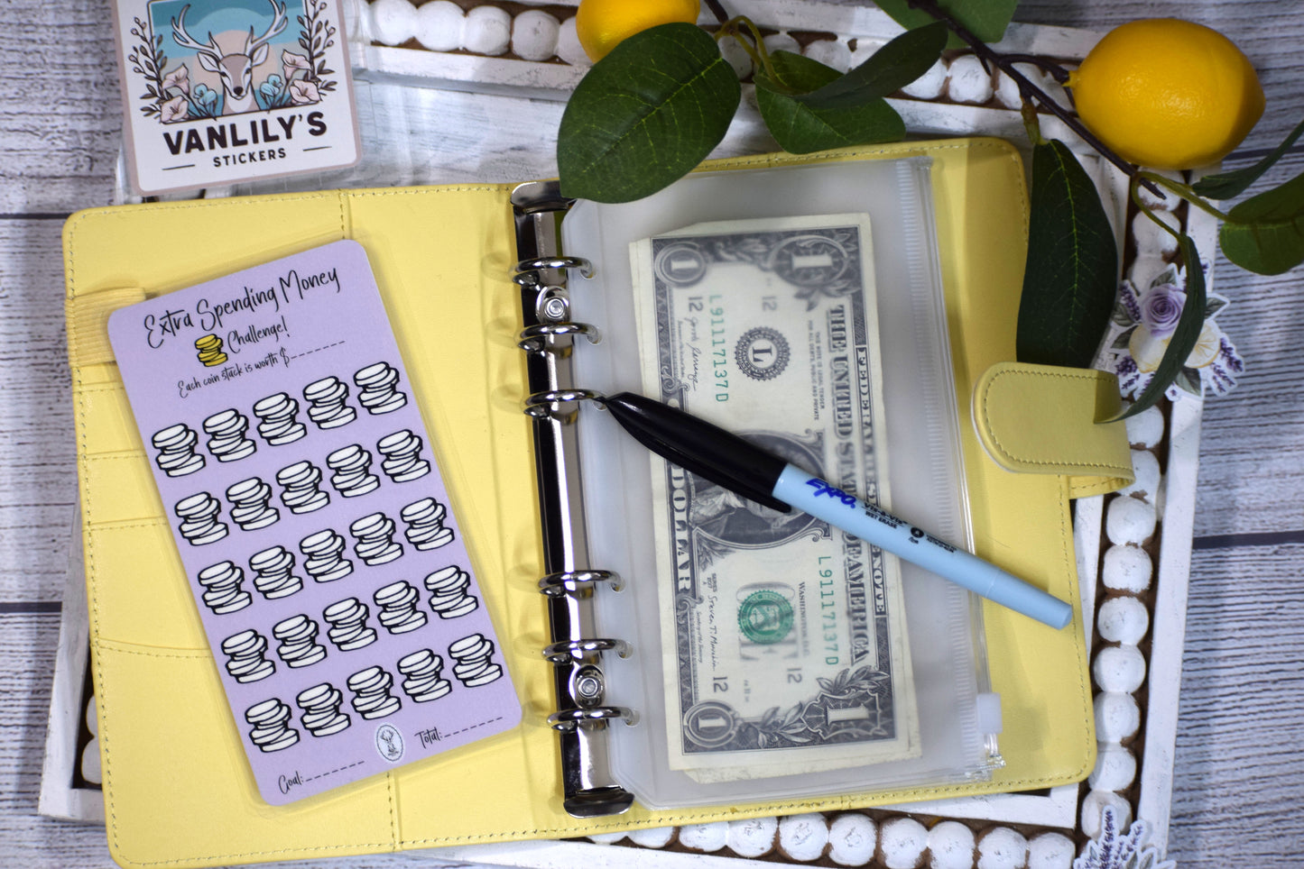 Extra Spending Money Savings Challenge | A6 Laminated Budget Binder Insert | Cash Envelope Budgeting | Savings Tracker