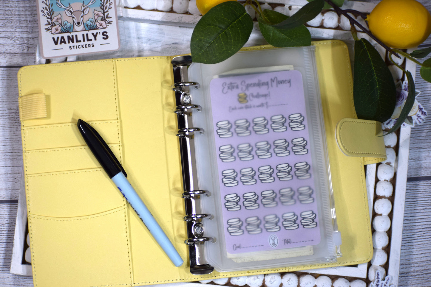 Extra Spending Money Savings Challenge | A6 Laminated Budget Binder Insert | Cash Envelope Budgeting | Savings Tracker