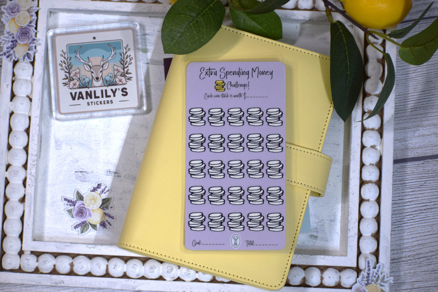 Extra Spending Money Savings Challenge | A6 Laminated Budget Binder Insert | Cash Envelope Budgeting | Savings Tracker