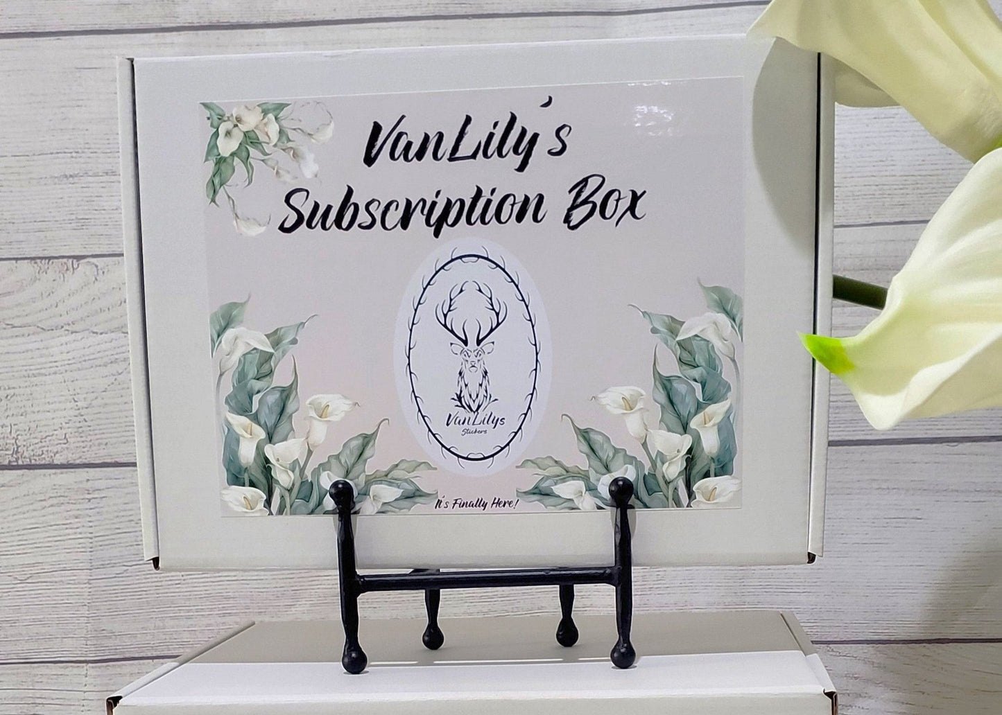 VanLily's Monthly Subscription Box (TBM Live Rich Planner)