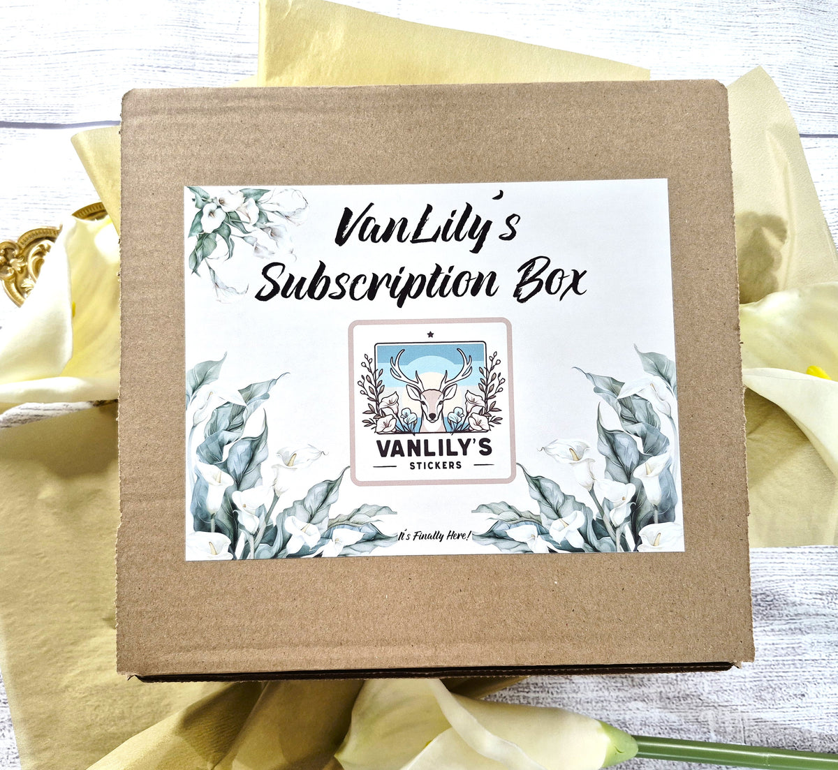VanLily's Sticker Subscription Box for the Live Rich Planner