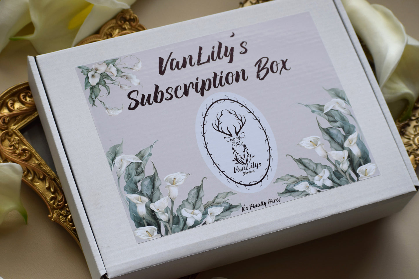 VanLily's Monthly Subscription Box- TBM BBP