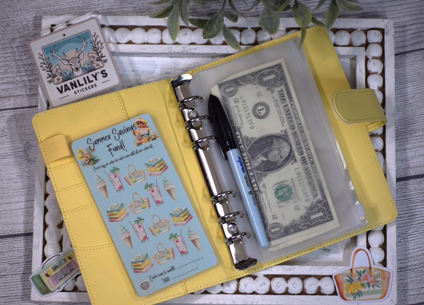 Vintage Summer Savings Fund Challenge | A6 Laminated Budget Binder Insert | Cash Envelope Budgeting | Beach Savings Tracker