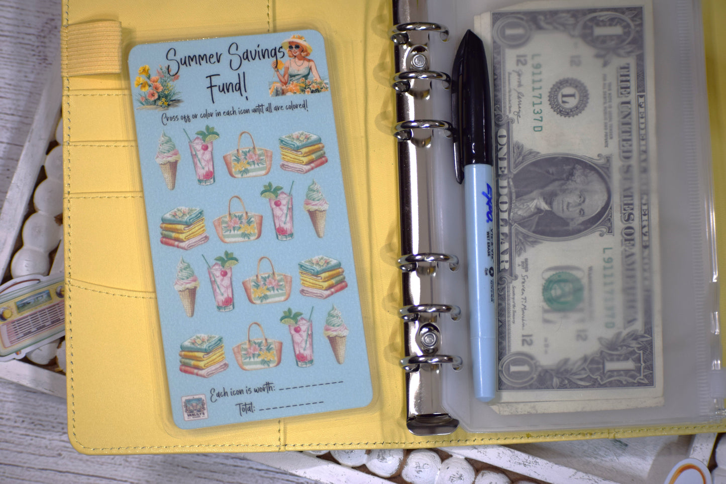 Vintage Summer Savings Fund Challenge | A6 Laminated Budget Binder Insert | Cash Envelope Budgeting | Beach Savings Tracker